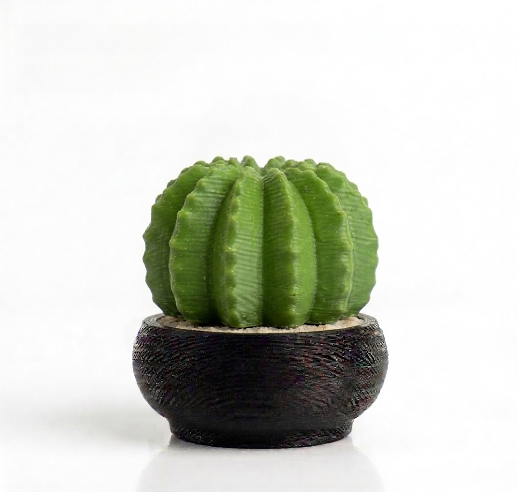 Spinner Cactus Fidget